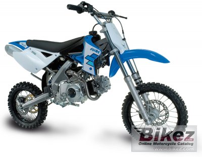 2010 Polini XP 4T Cross photo
